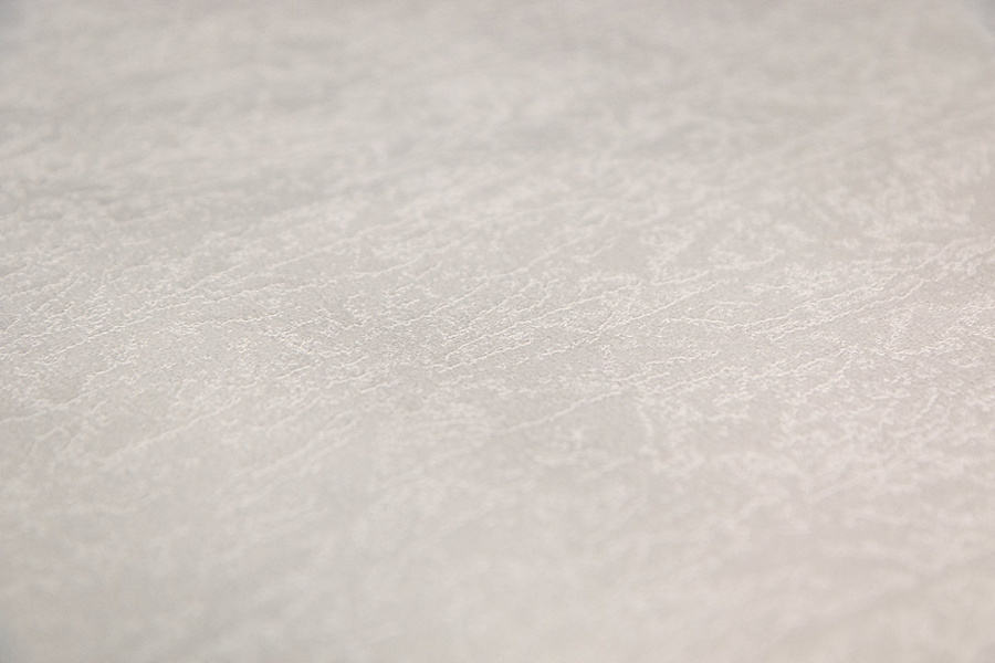 Обои виниловые на флизелиновой основе Ориент база, бежевый 