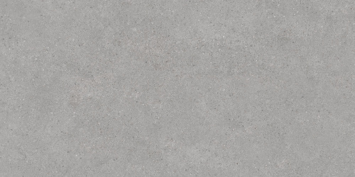 Фондамента серый светлый обрезной 60х119,5