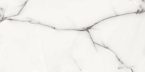 ONYX GREY AZARIO Керамогранит 60х120 Glossy (P3211112138G)