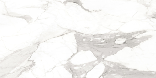 ELEGANT GREY AZARIO Керамогранит 60x120 Glossy (F4110821122G)