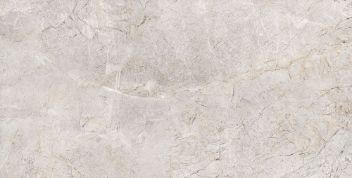 ORBITO GREY AZARIO Керамогранит 60x120 Glossy (P4110821134)