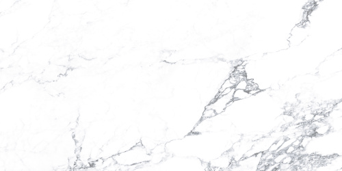 CALACATTA  AURA GREY AZARIO Керамогранит 60x120 Glossy (F4110821121G)