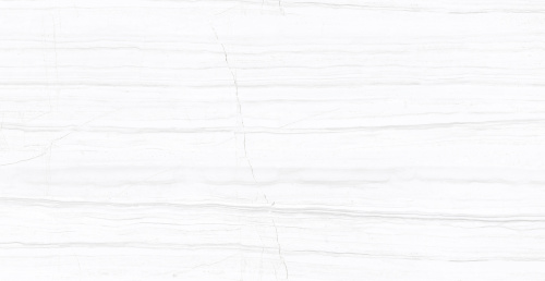 SALENT GREY AZARIO Керамогранит 60x120 Glossy (F2070821120G)