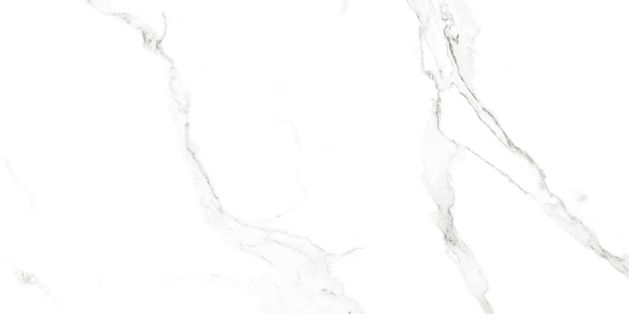 SATVARIO AZARIO Керамогранит 60x120 Glossy (F4110821128G) 