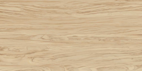 Олива бежевый обрезной 60х119,5